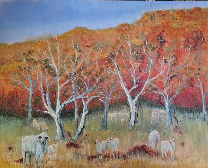 Kimberley Country