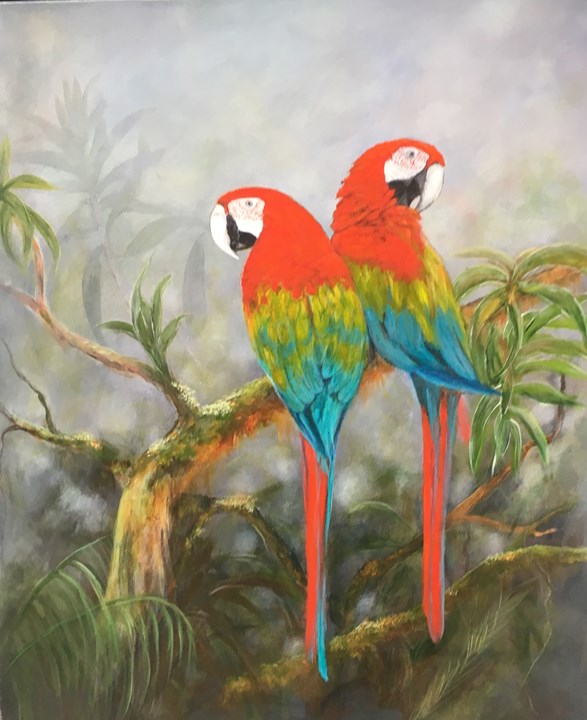 Rainforest Macaws