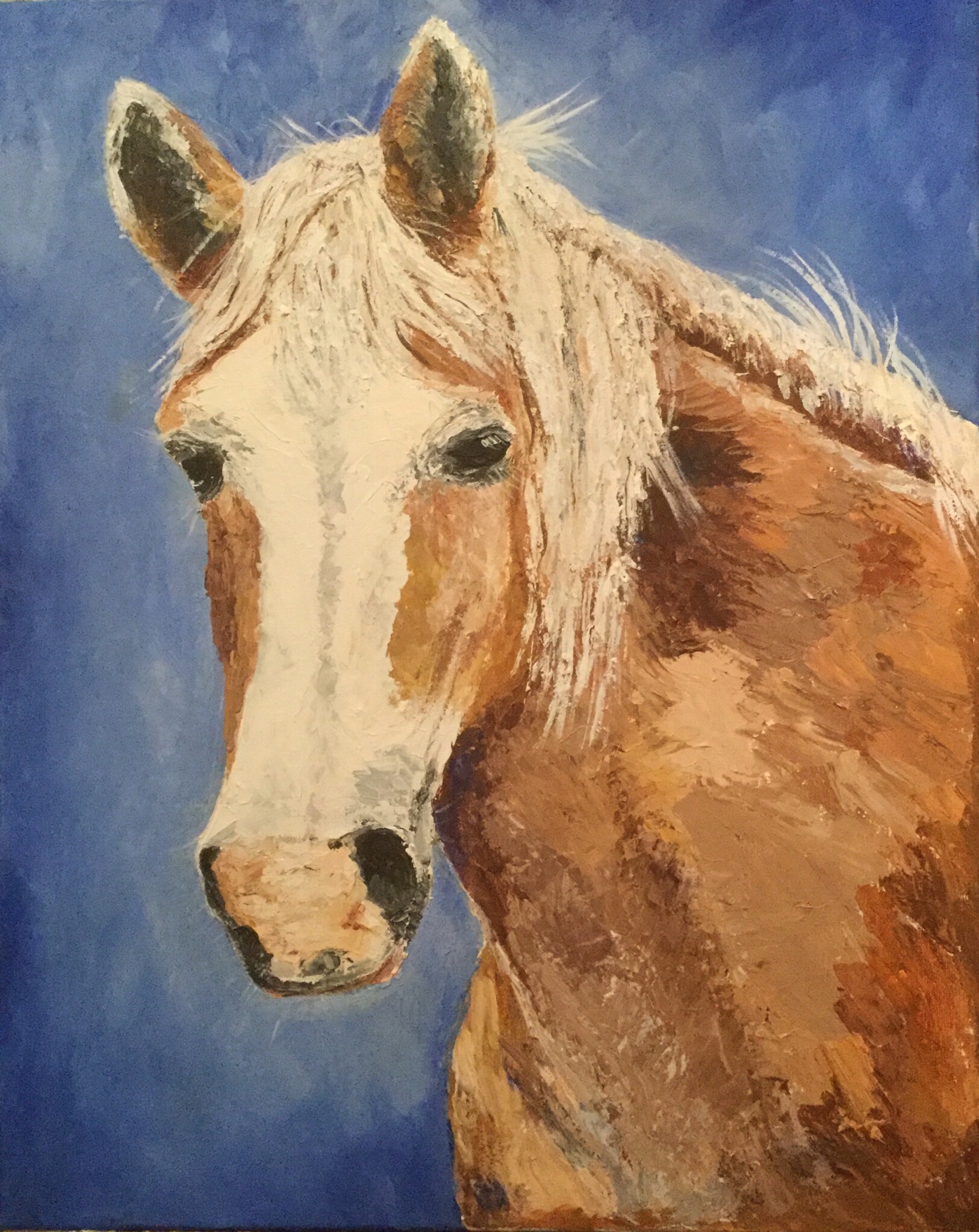 Horse - Armadale Society of Artists