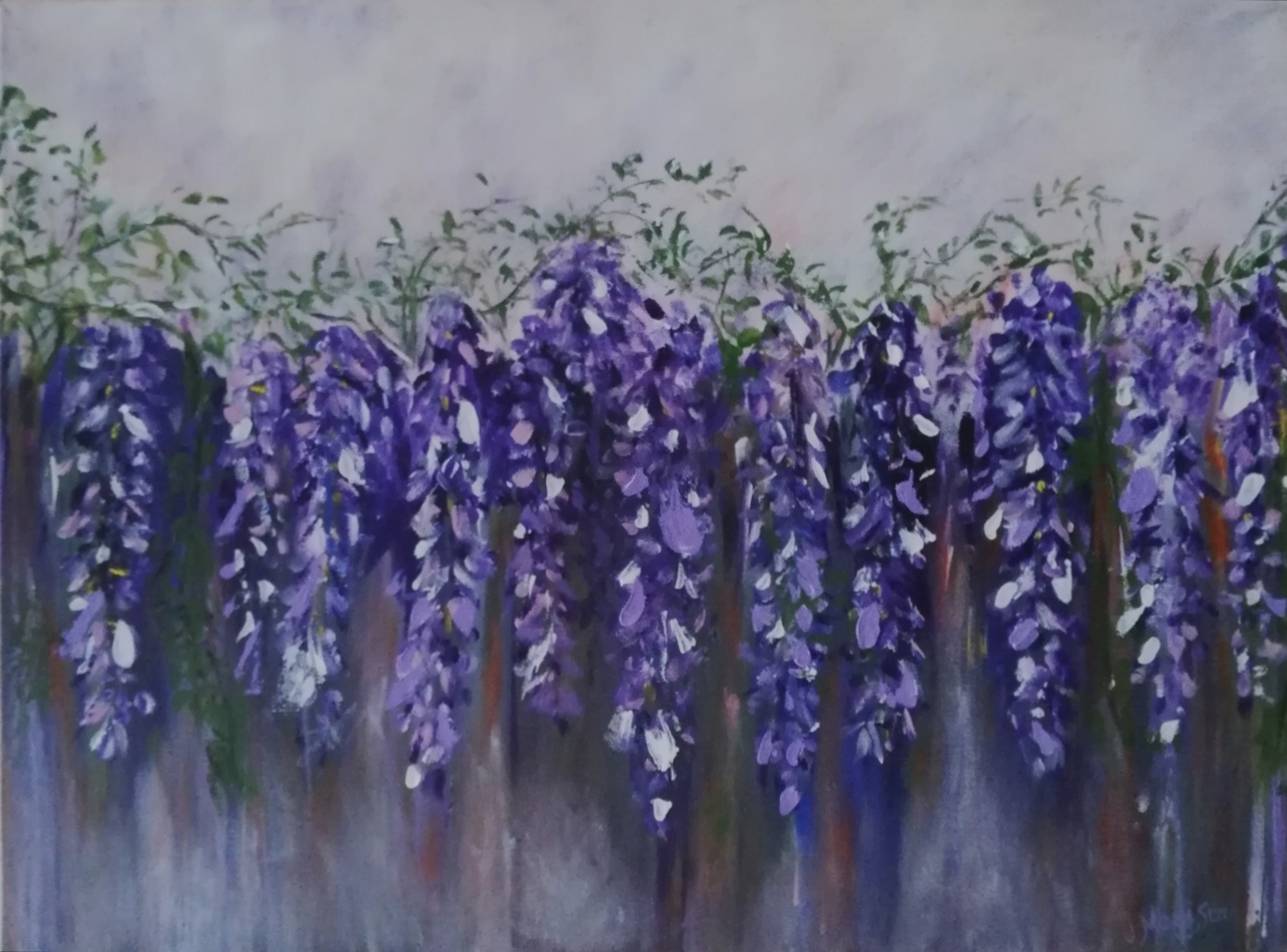 Wandering Wisteria - Armadale Society of Artists